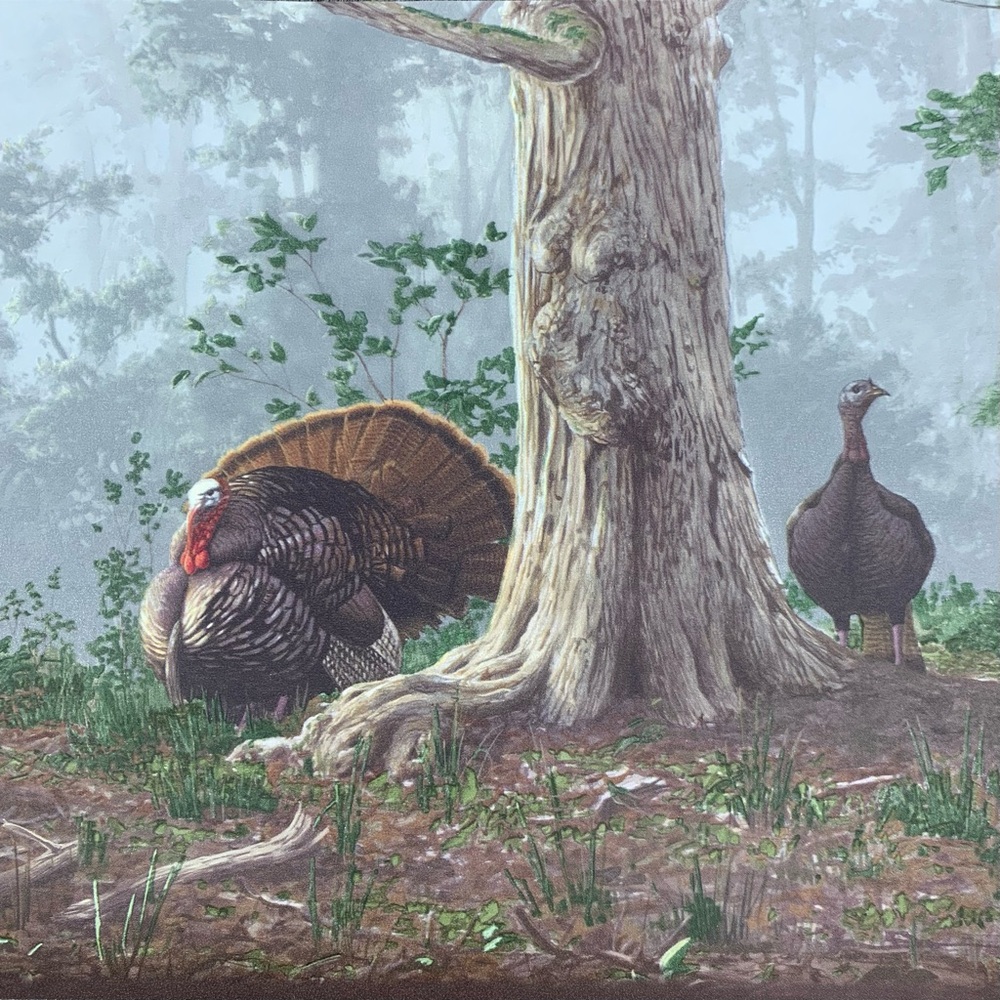 Wild Turkey Border Vintage Wallpaper